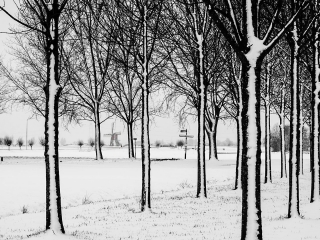 Winter in Hoogmade